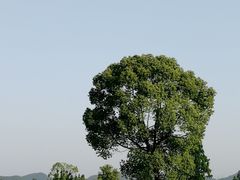-良渚古城遗址公园