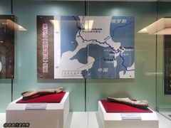 -嘉荫恐龙国家地质公园