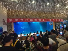 -洛阳龙门海洋馆