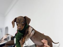 -M Stand(上海人民广场来福士店)