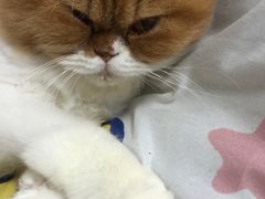 -中农大我爱我爱动物医院(甜水园店)