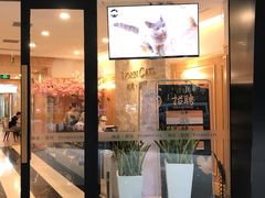 -袖虎·猫馆(体育西路店)