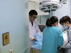 -纳吉亚猫专科动物诊疗中心(蒋宅口分院)