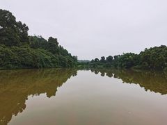 -张坝桂圆林公园