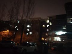 -桃花堤公园