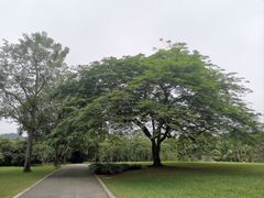 -中国科学院西双版纳热带植物园