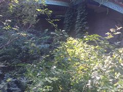 -竹泉村旅游度假区