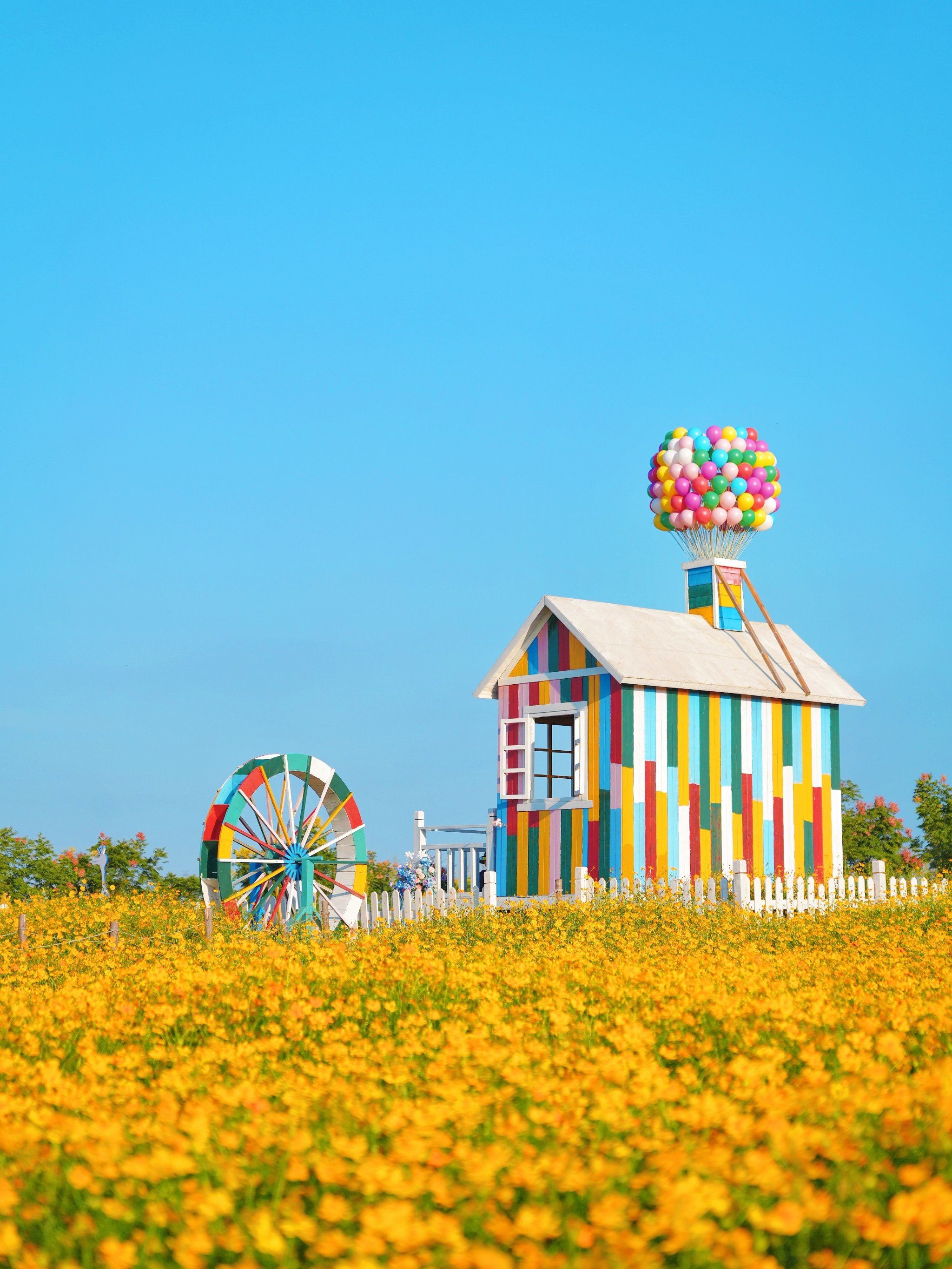 合肥祥源花世界•闯进南瓜向日葵的梦幻王国