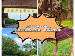 -上海野生动物园