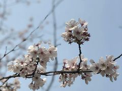 -尚贤河湿地