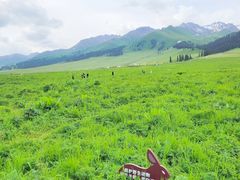 -新疆那拉提国家旅游度假区