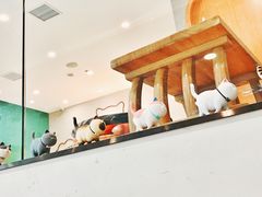 -飞行喵MR PILOT|猫舍·猫咖(静安大融城店)