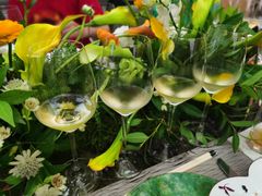 -前海华侨城JW万豪酒店·都会尚膳自助餐厅·熟成牛排海鲜酒水畅飨