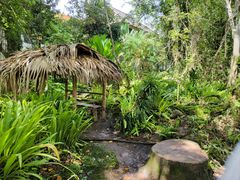 -中国科学院西双版纳热带植物园