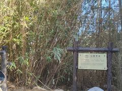-汤山一号温泉度假区