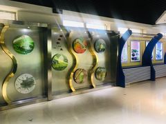 -上海昆虫博物馆