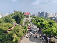 -黄鹤楼公园(黄鹤楼)