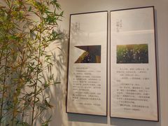 -十二舍·湯物素煮(江泰潤政店)