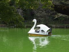 -井之头恩赐公园