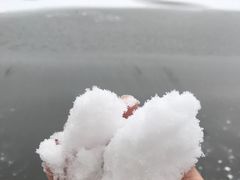 -武陵山森林公园