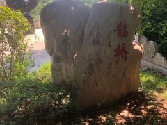 -东湖落雁景区