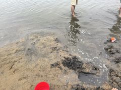 -碧海金沙