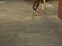 -看书吧(体育东横路店)