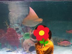 -沈阳海洋探索中心