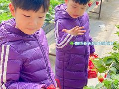 -甜心庄园·甜心草莓采摘园(西青中北店)