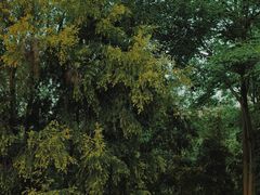 -金海湾滨江公园