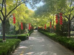 -大槐树寻根祭祖园
