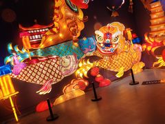 -大雁塔北广场音乐喷泉