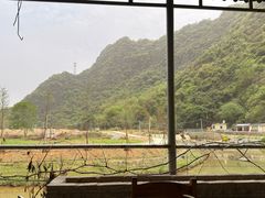 -银峰农庄·特色烧鸡·鲜无花果浸鸡