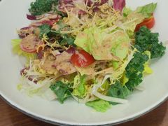 -鲁宴·鲁煨黄河生态大鲤鱼(月坛店)