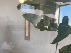 -小意思咖啡店(草桥店)