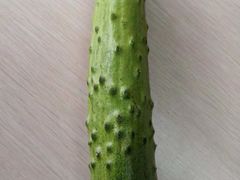 -陈家镇裕安农贸市场
