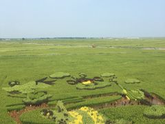 -红海滩国家风景廊道