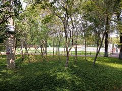-黛秀湖公园