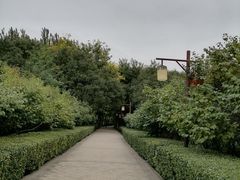-古塔公园