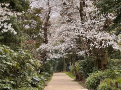 -东京国立博物馆