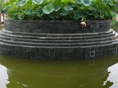 -大望京公园