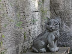 -杭州半山国家森林公园