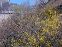 -太行锡崖沟旅游度假区