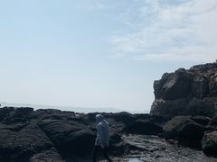 -漳州滨海火山岛自然生态风景区