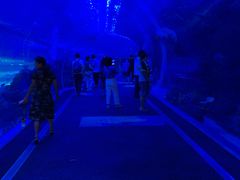 -成都浩海立方海洋公园