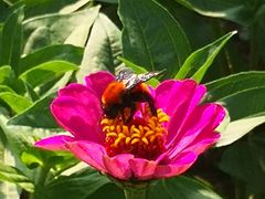 -陶祖圣境风景区