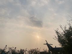 -空港花田景区