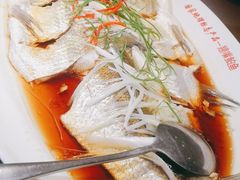 -丹江渔村(望京店)