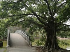 -四海公园(南山区)