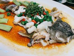 -猪肉婆私房菜(容桂总店)